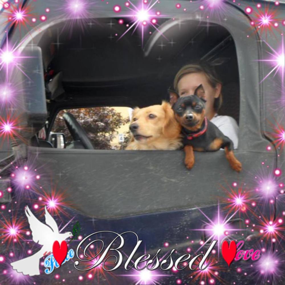 Meet your Posher, Kandy